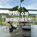수제 과일젤리 만들기Ⅱ | 팜푸르 무설탕 무가당 수제 블루베리콩포트 /저당 자일리톨 콩포트잼