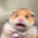 죽동 대원칸타빌 이미지