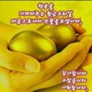 황금이 이미지