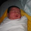 덕수니네 이미지