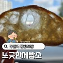 느긋한제빵소