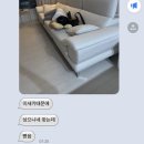 성풍숯불갈비 | 피크닉의 계절•**•🪽🪽🪽