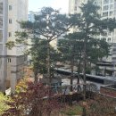 래미안Ⅱ공인중개사사무소 이미지