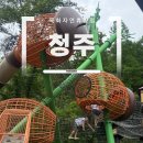 미원광고 | 청주 | 미원 옥화자연휴양림 펀플라잉 실패(?) 대신 대성공! 유아숲놀이터 힐링 나들이 후기