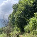 화수목민박 이미지