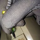 굿데디