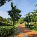 서구 구민운동장 입구 이미지