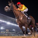 에이스코리아 이미지