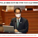 갈 곳 잃은 국내 마늘‥타들어가는 농심 이미지