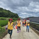 딸기밭 비닐하우스 수해복구 봉사 이미지