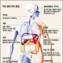 우리 몸의 .. 신기한 비밀 이미지