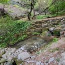 노섬브리아 이미지