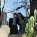 커피 선인장(suninjang) 이미지