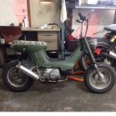 지엘제트 이미지