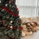 [중랑] 곰도리도리 키즈카페: 프라이빗한 대관형 키즈카페에서 특별한 하루를!