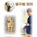 달구벌진도 이미지