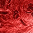 대로토탈 휘트니스 이미지