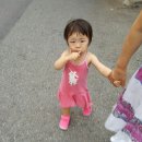 노루목어린이공원 네이버블로그