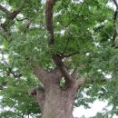 주작축산 이미지