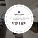 서울루트플란트치과의원 이미지