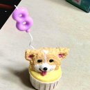 바우미우 네이버블로그