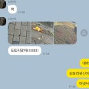 핑퐁핑퐁 연휴