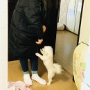 용율 이미지