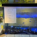 남산민물 | 왕십리맛집 부모님 모시고 가기 좋은 깔끔한 인테리어와 민물장어구이 전문점, 남산장어