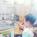 태현어린이집
