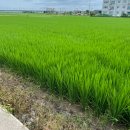 익산실버재활요양센터 | 전북 익산 익산실버재활요양센터,춘포재활주간보호센터 / 워킹레일로 안전한 재활 운동
