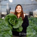 청년쇼핑몰