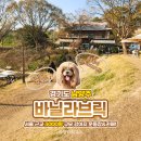한옥예술유치원 | [내돈내산] 남양주 바닐라브릭 3000평 강아지 애견운동장｜입장 방법·구역·카페 솔직 후기