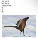 명인만두장안배봉점 | 202411_02