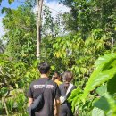 세풍농장 이미지