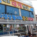 속초다육