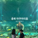괴산 가볼만한곳｜충북아쿠아리움 주차·입장료 무료·관람 후기 총정리