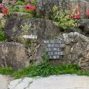 별그리다펜션 이미지