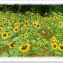 구불4길(구슬뫼길) 이미지