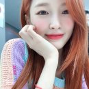 더파랑새 이미지
