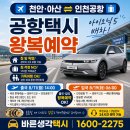 (주)서울여객 | 천안 아산 인천공항택시 왕복예약｜배방에서 T1까지 아이오닉5 이용 후기