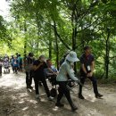 경기도장애인협회 여주시지회 이미지