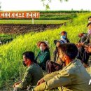 황주농장 이미지