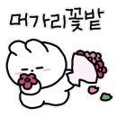 뷰티&슬림 이미지