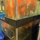 서준활어 이미지