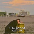 돌머리 696 이미지