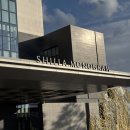 메인디저트 | 신라모노그램 강릉 : 다이닝M 조식 맛집 후기(메인메뉴, 디저트, 내부, 영업시간, 내돈내산 등)