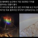 금성타이어 | 프로젝트 헤일메리(2026) 후기