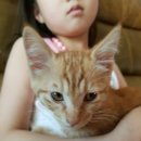 용인도담동물병원 이미지