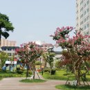 주식회사 피데스