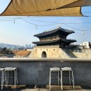 팔레센트 티스토리